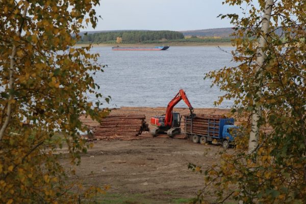 Kuidas saavutada tasakaalustatud eluviis