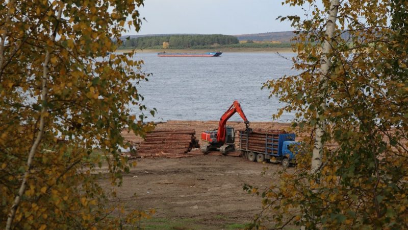 Kuidas saavutada tasakaalustatud eluviis