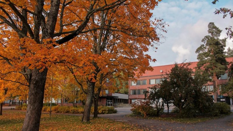 Tervislikud retseptid igapäevaseks toitumiseks